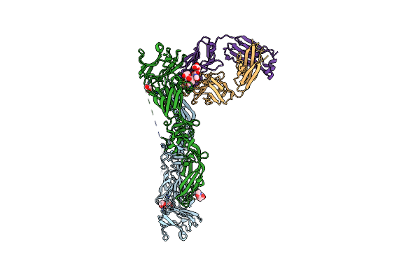 5LCV image