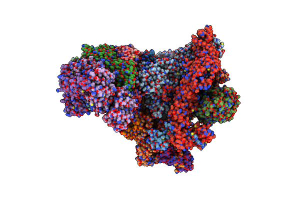 5LCW image