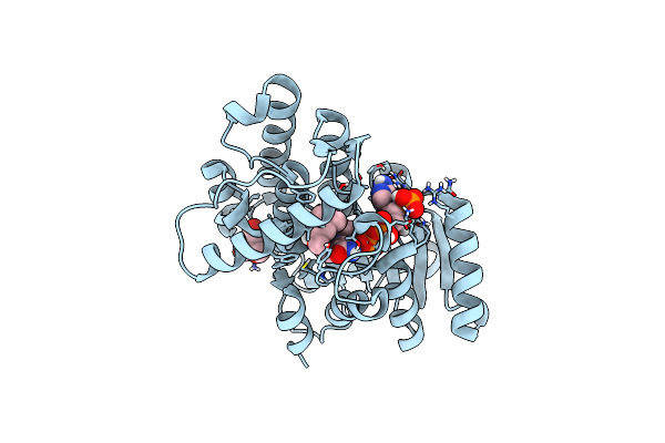 5LCX image