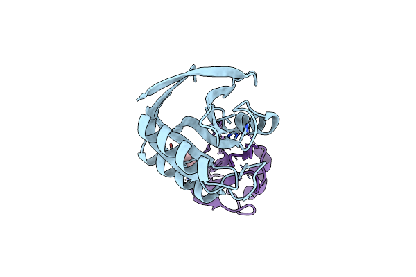 5LDA image
