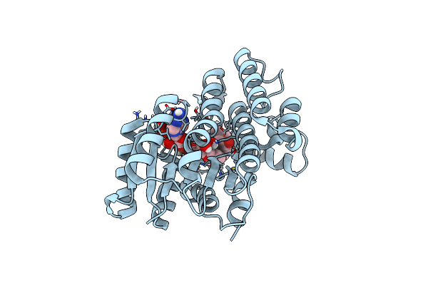 5LDG image