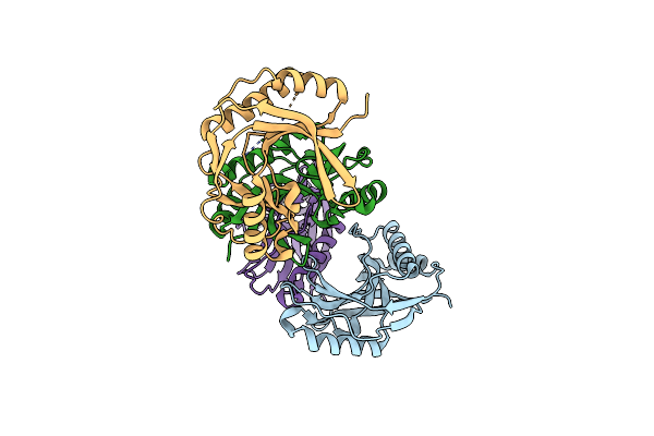 5LDI image