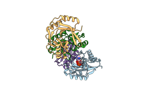 5LDO image