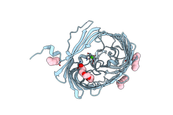 5LDV image