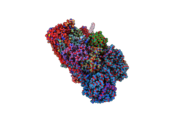 5LDX image