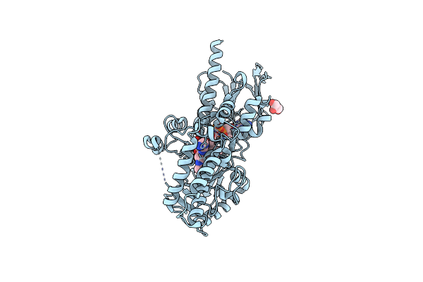5LFO image