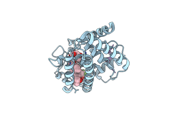 5LGA image