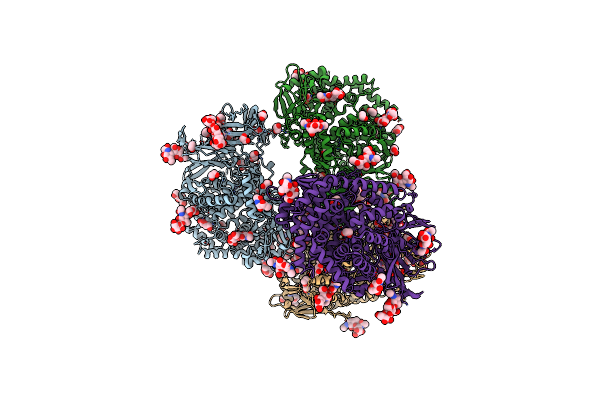 5LHD image