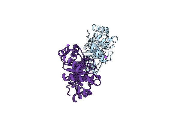 5LHF image