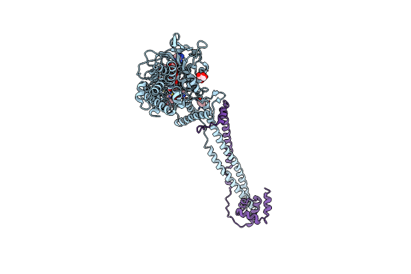 5LHH image