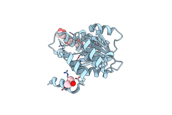 5LHM image