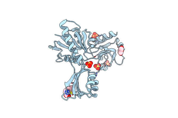 5LHT image