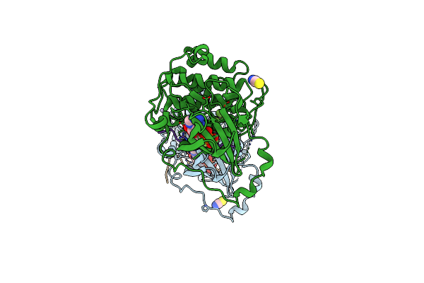 5LIH image
