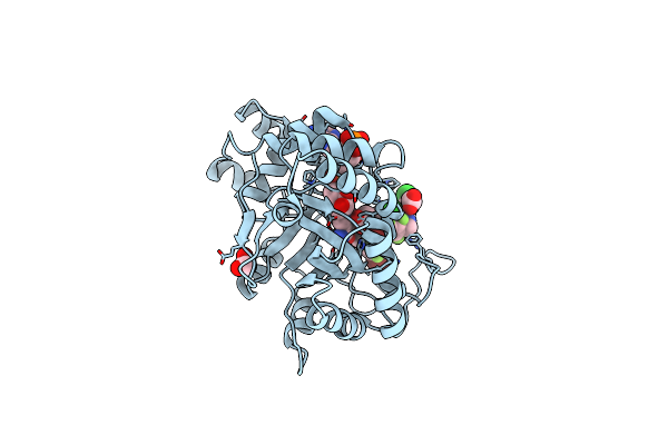 5LIW image
