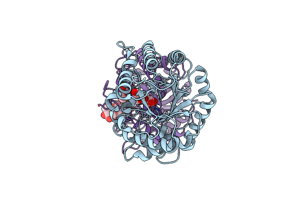 5LJF image