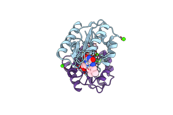 5LJI image