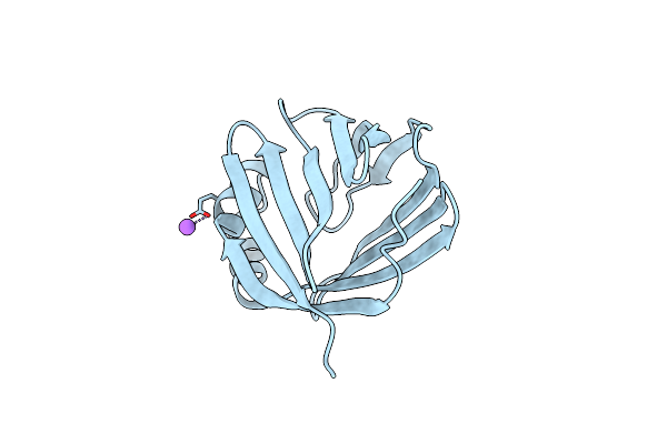 5LJK image