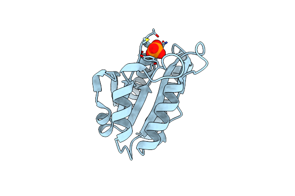 5LJL image