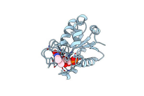 5LJP image