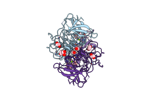 5LKK image