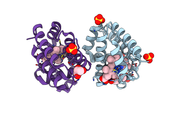 5LKV image