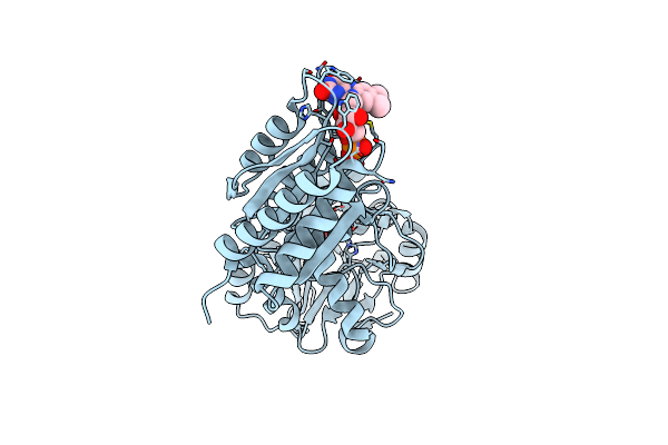5LLD image