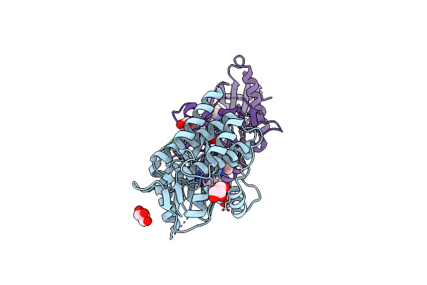 5LMB image