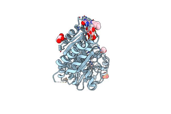 5LMC image