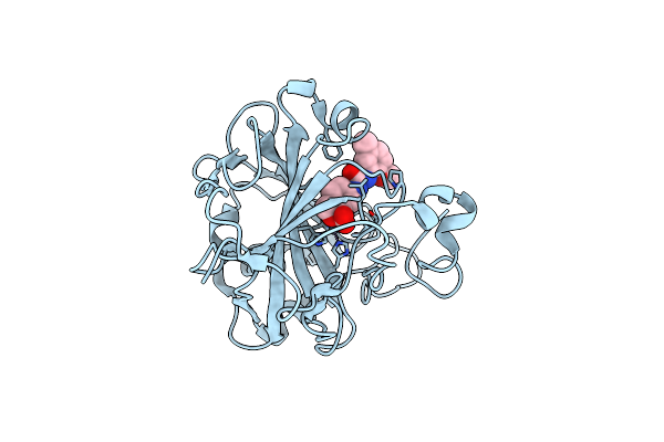 5LMD image