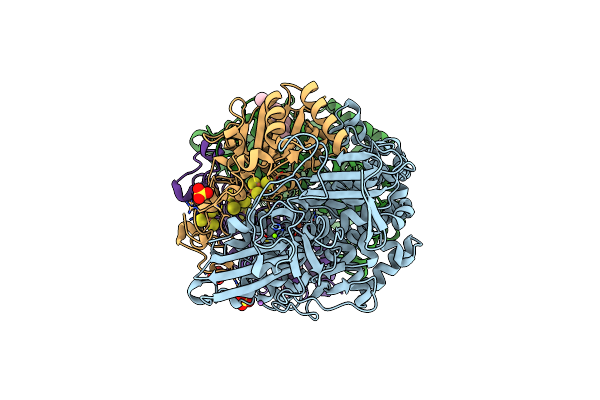 5LMM image