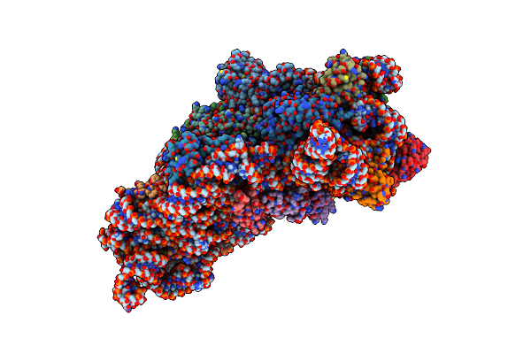5LMN image