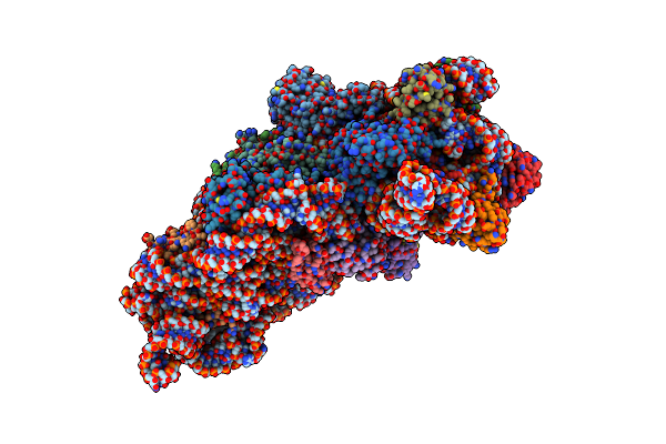 5LMO image
