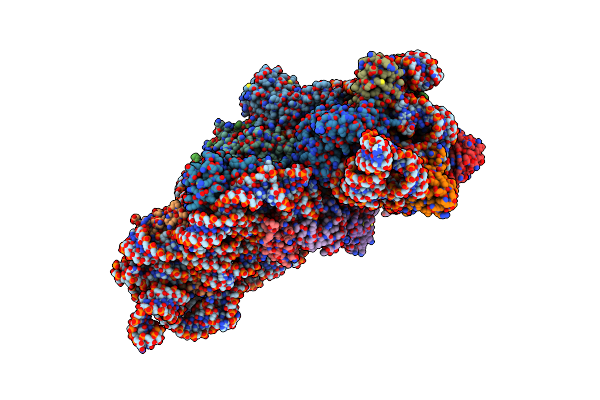 5LMP image