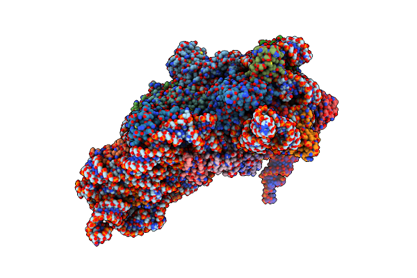5LMR image