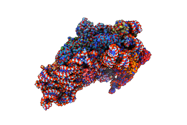 5LMU image