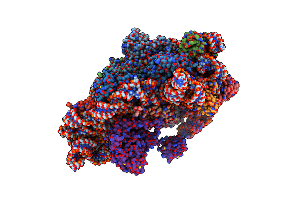 5LMV image