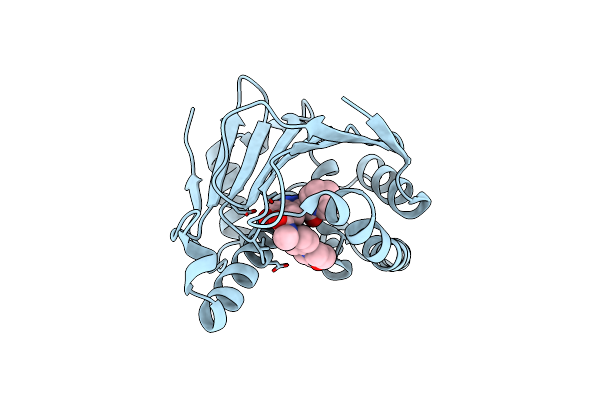 5LNY image