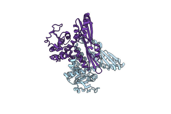 5LOC image
