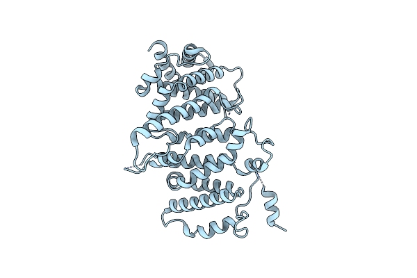 5LOI image