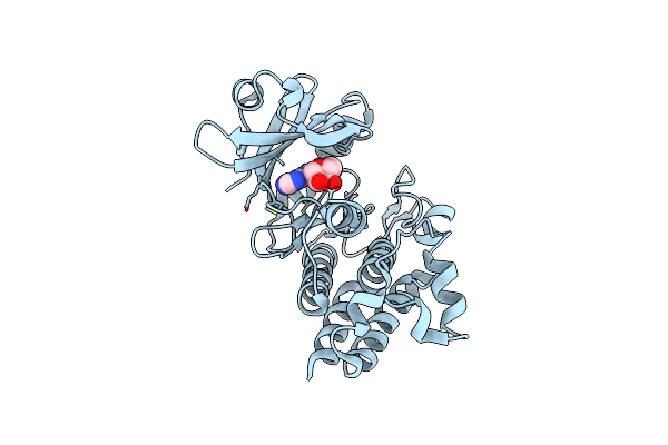 5LPB image