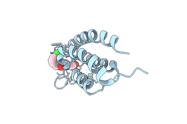 5LPJ image