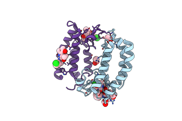 5LPM image