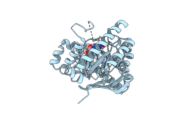 5LPP image