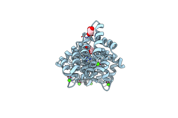 5LPX image