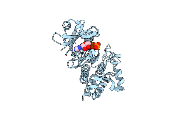 5LPY image