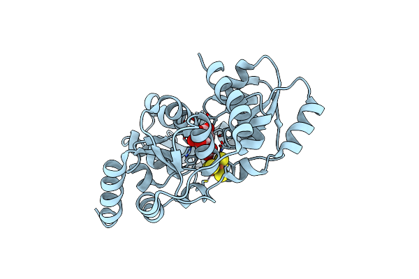 5LQM image