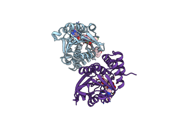 5LQU image