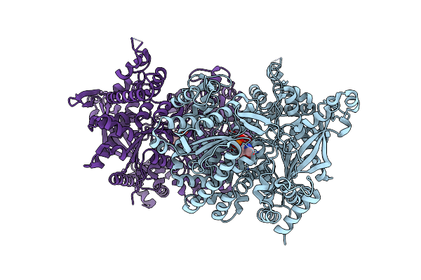 5LR8 image