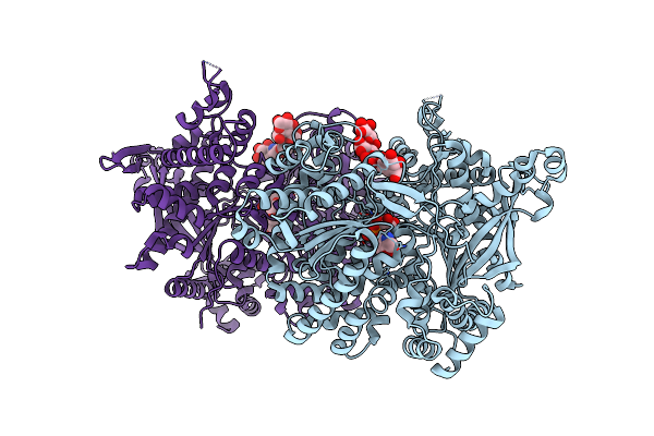 5LRB image