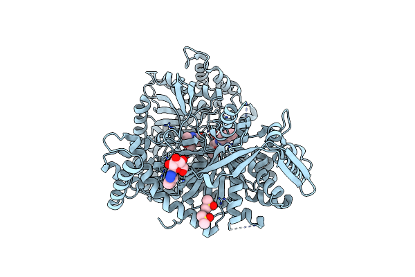 5LRF image